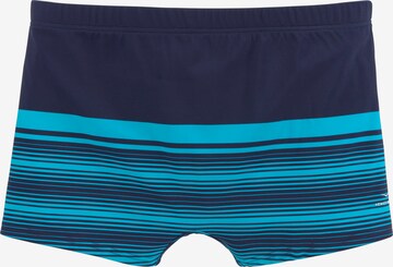 Shorts de bain VENICE BEACH en bleu : devant