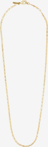 Pilgrim Necklace 'Parisa' in Gold: front