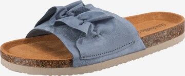 ambellis Mules in Blue: front