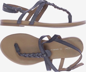 COX Sandalen 39 in Blau: predná strana