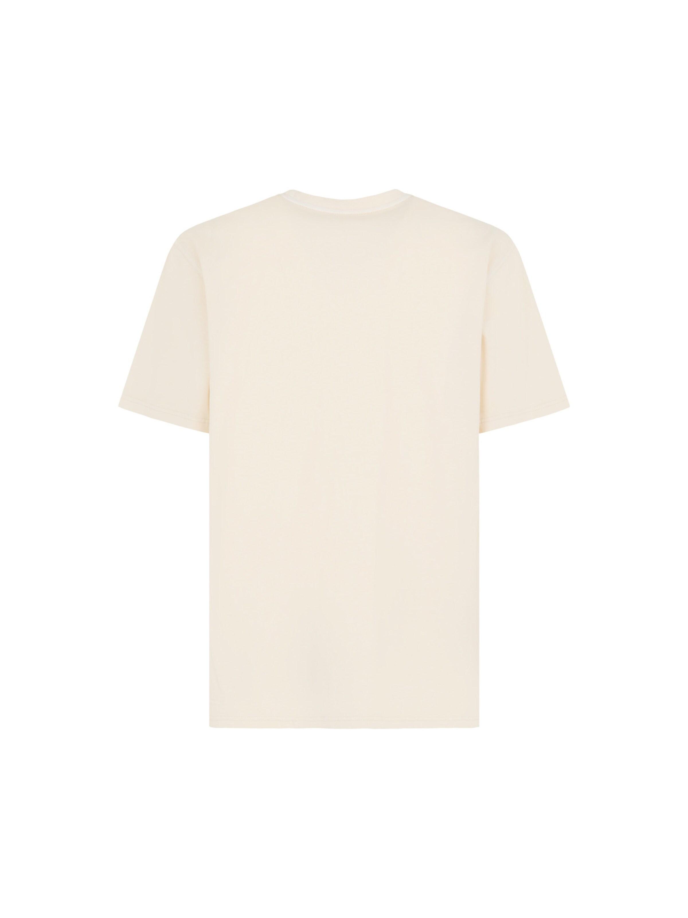 DICKIES Shirt in Beige