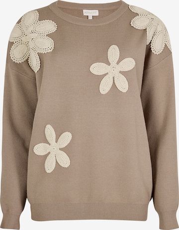 Pullover di Apricot in marrone: frontale
