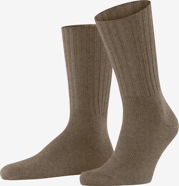 FALKE Socks 'Nelson' in Brown: front