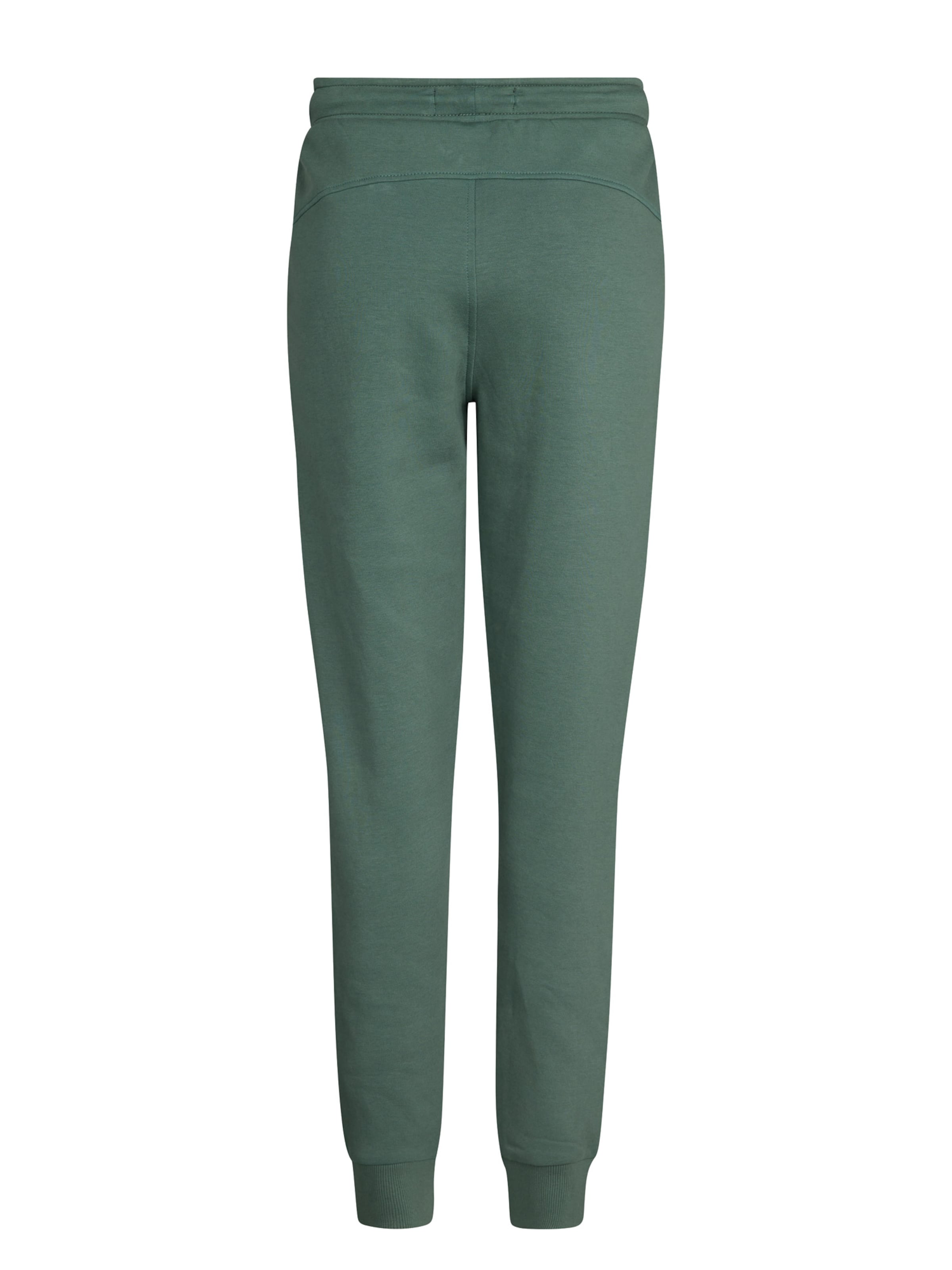 Petrol Industries Tapered Broek 'Uinta' in Groen