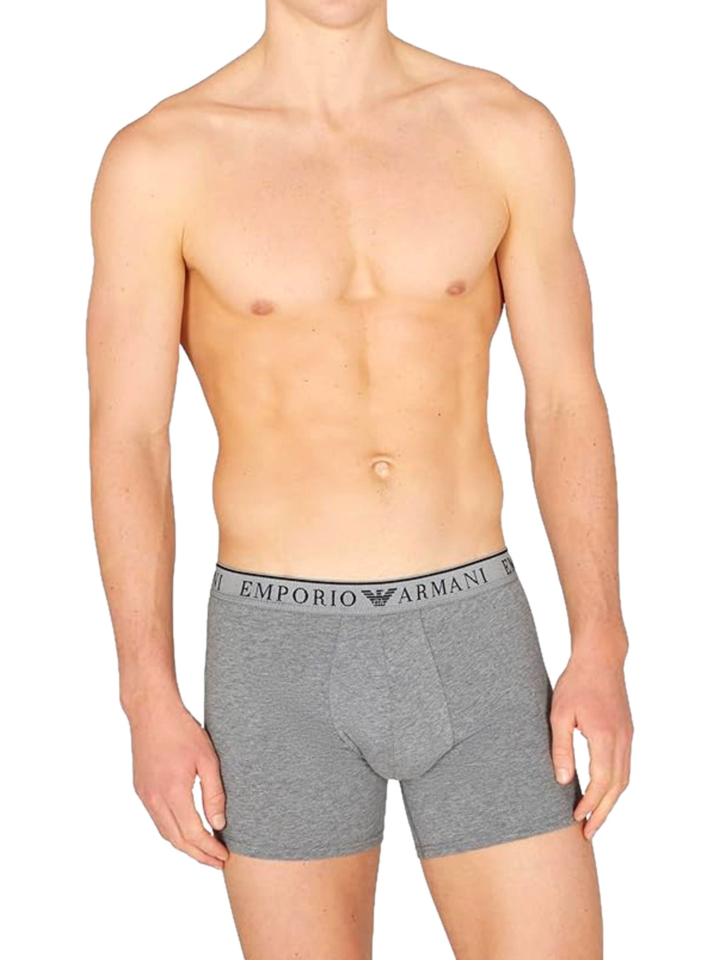 Emporio Armani Boxer shorts in Grey