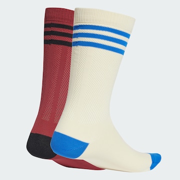 ADIDAS ORIGINALS Socks in Purple
