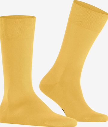 FALKE Socks 'Cool 24/7' in Yellow: front