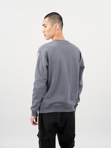 Cørbo Hiro Sweatshirt 'Akira' in Grau