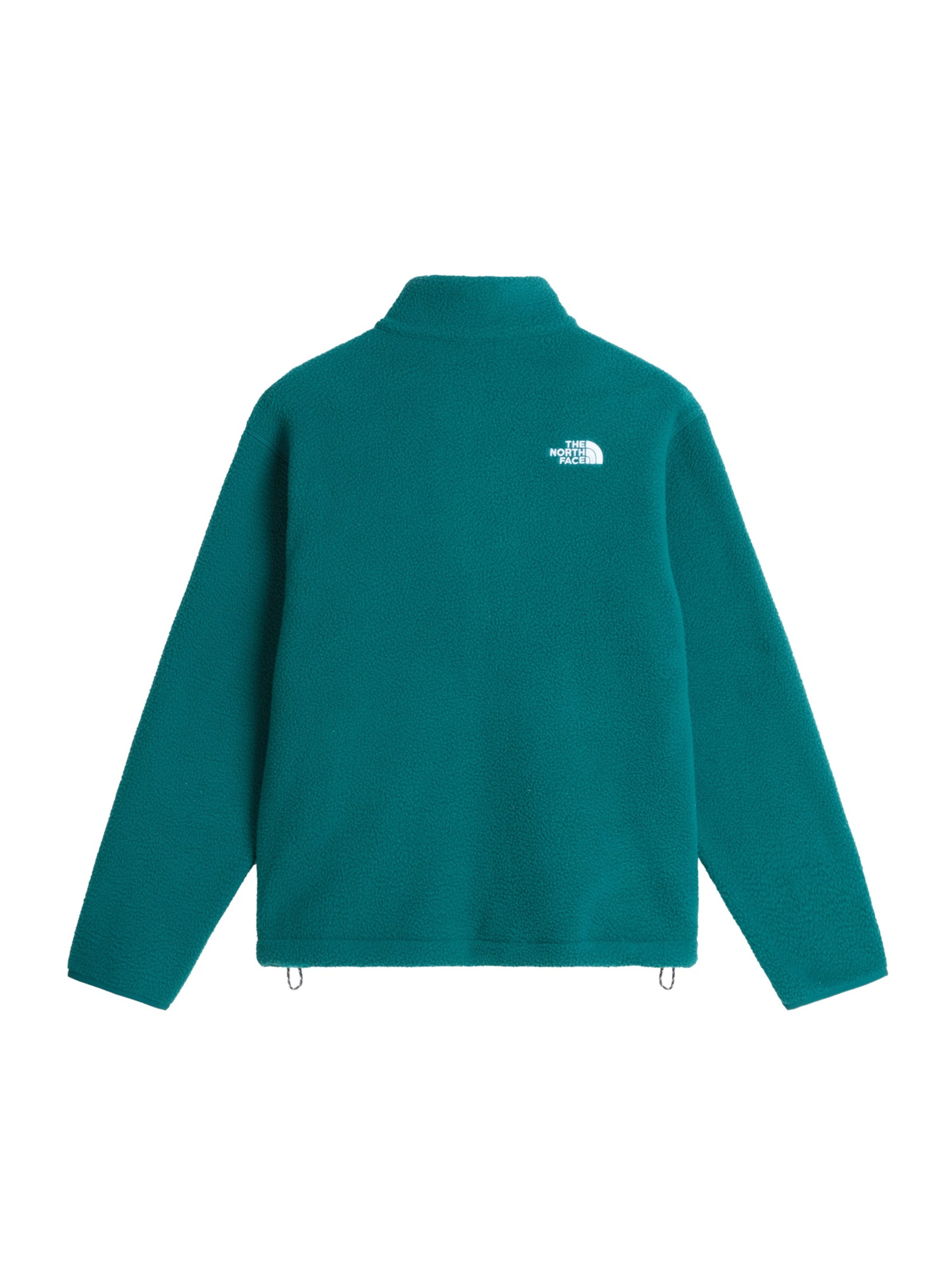 Giacca di pile 'Fleeski' di THE NORTH FACE in verde