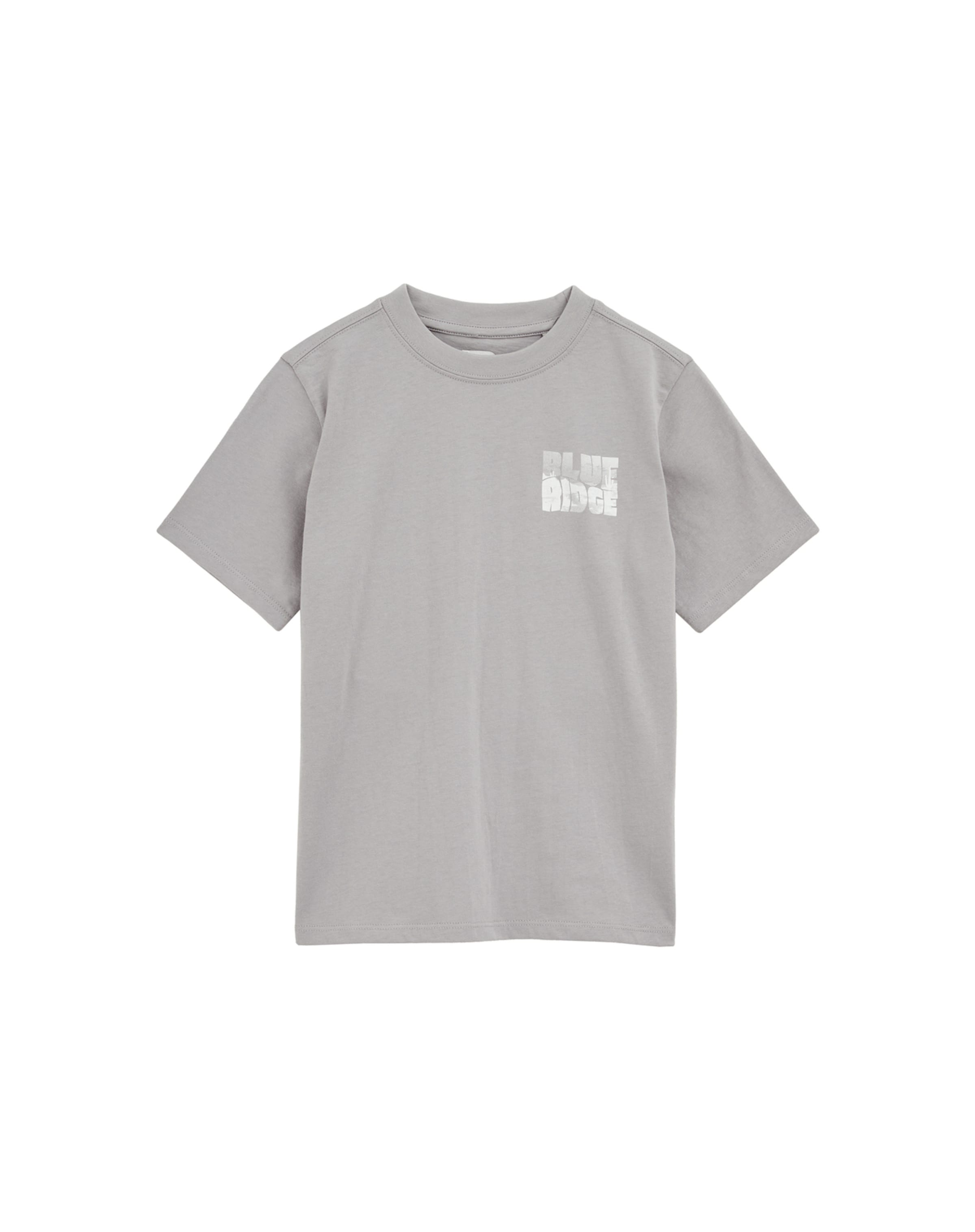 pelēks WE Fashion T-Krekls: no priekšpuses