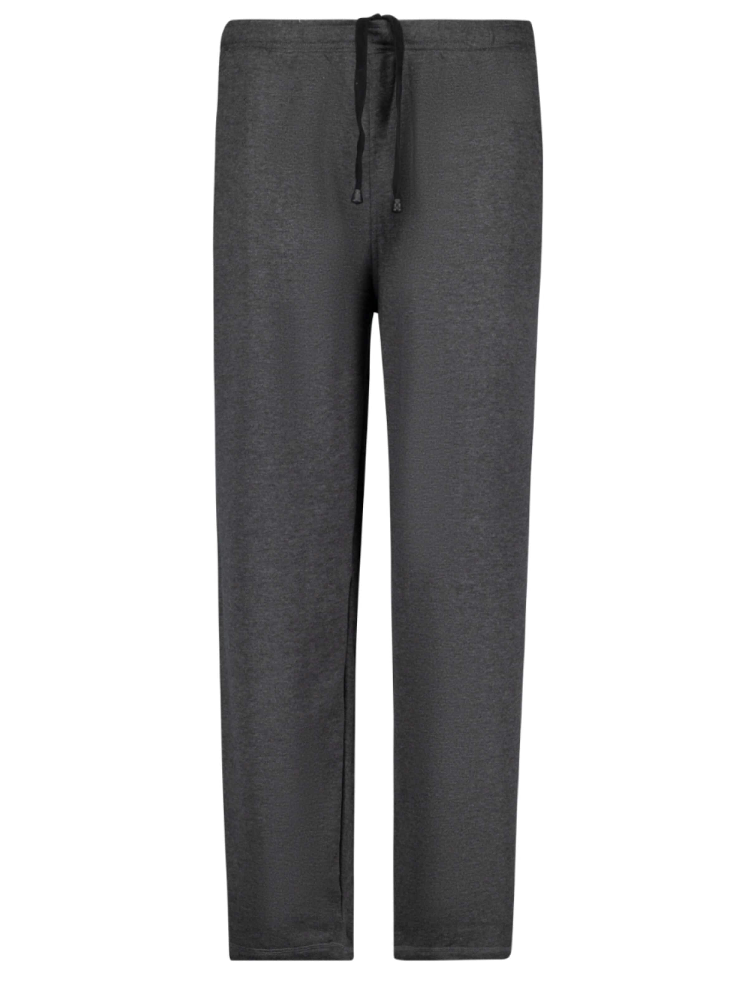 Adamo Regular Pants in Grey: front
