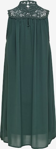 Only Maternity Dress 'Mama' in Green: front