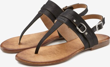 LASCANA T-Bar Sandals in Black