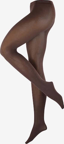 ESPRIT Strumpfhose 'Cotton' in Braun: Vorderseite