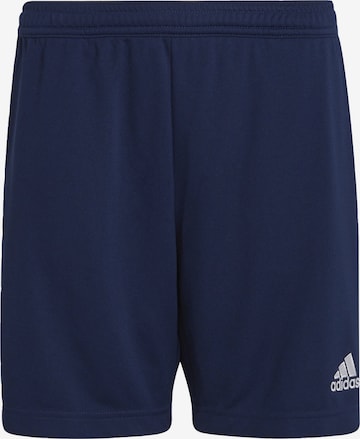 ADIDAS PERFORMANCE - regular Pantalón deportivo 'Entrada 22' en azul: frente