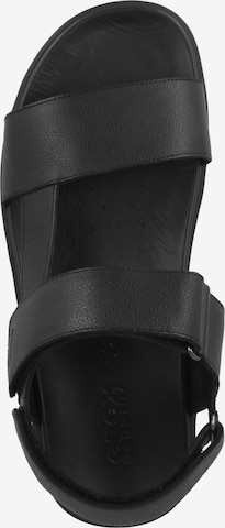 GEOX Slippers 'Xand' in Black