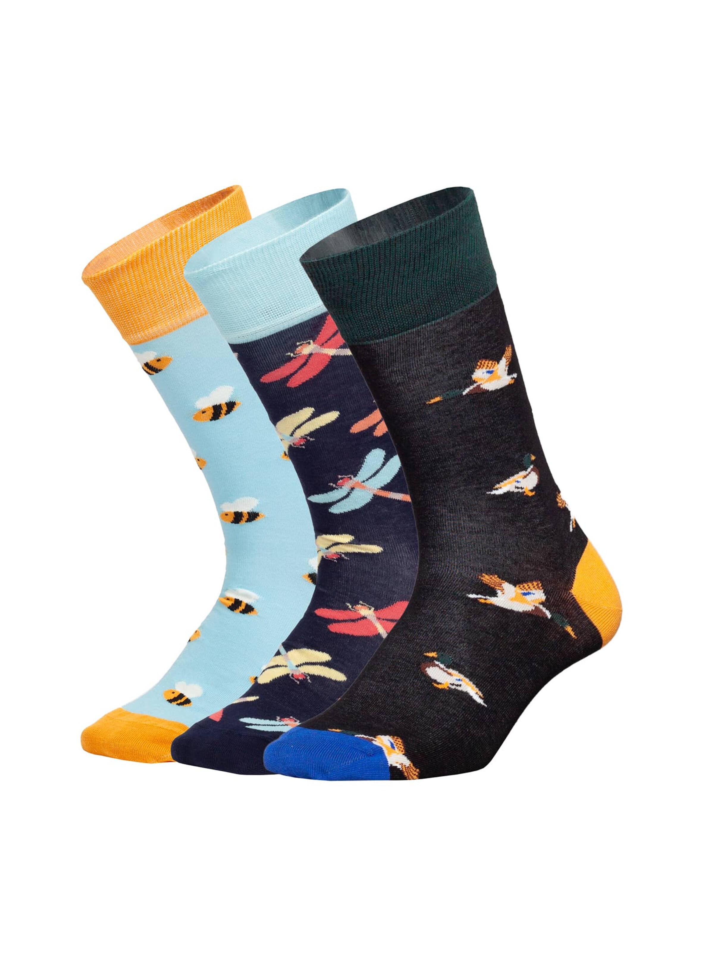DillySocks Socken 'Geschenkbox - Flutter into Spring (3er Box)' in Mischfarben: Vorderseite