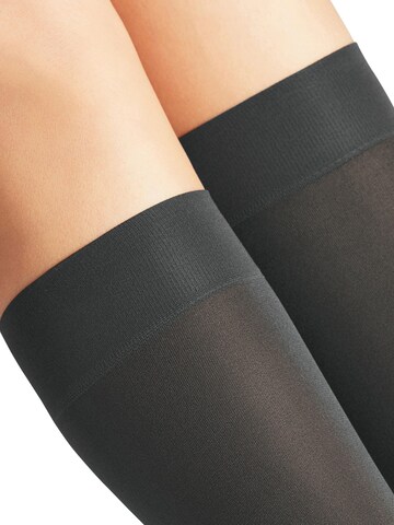 FALKE Overknee Strümpfe 'Seidenglatt'‌‌‌‌‌ in Grau
