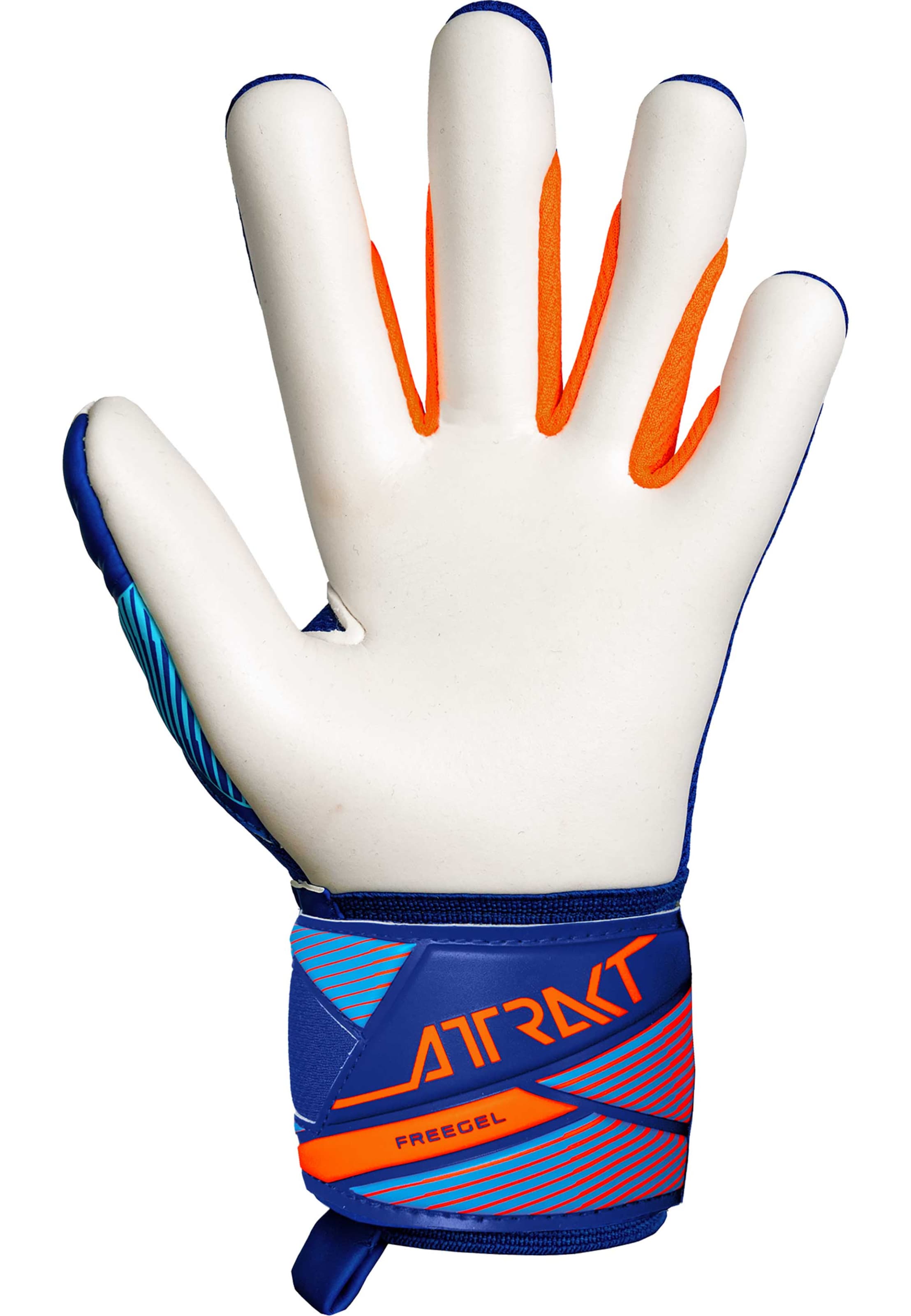 REUSCH Torwarthandschuhe 'Attrakt Freegel Advance Junior' in Blau