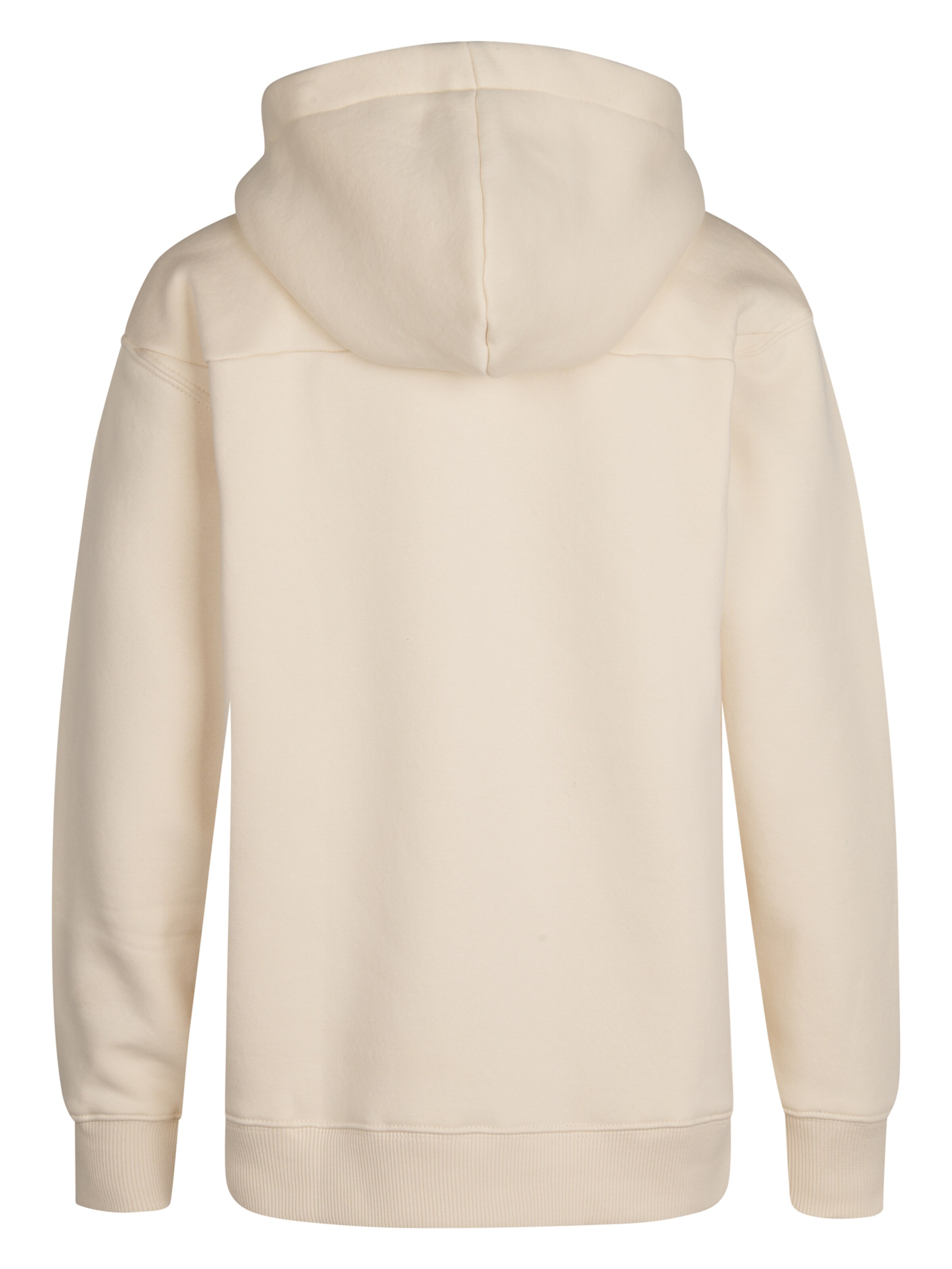 Petrol Industries Sweatshirt 'Redwood' in Beige