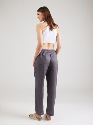 regular Pantaloni 'INDI' di ECOALF in grigio