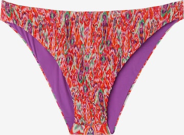 CALZEDONIA Bikini Bottoms in Mixed colors: front