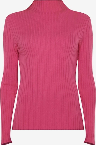TOOche Sweater 'Pulli Gerippt' in Pink: front