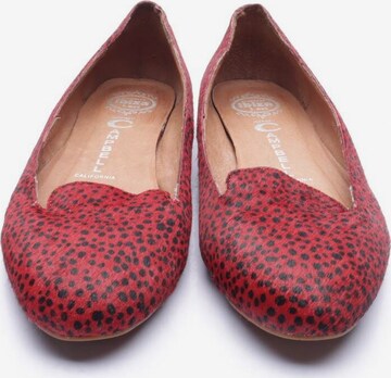 Jeffrey Campbell Flats & Loafers in 37 in Red