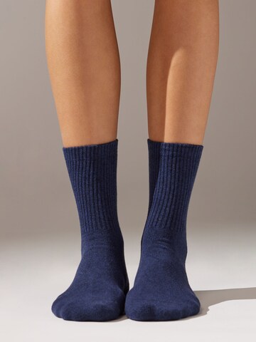 CALZEDONIA Socks in Blue: front