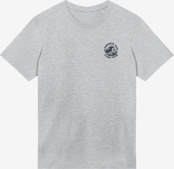 T-Shirt F4NT4STIC en gris : devant