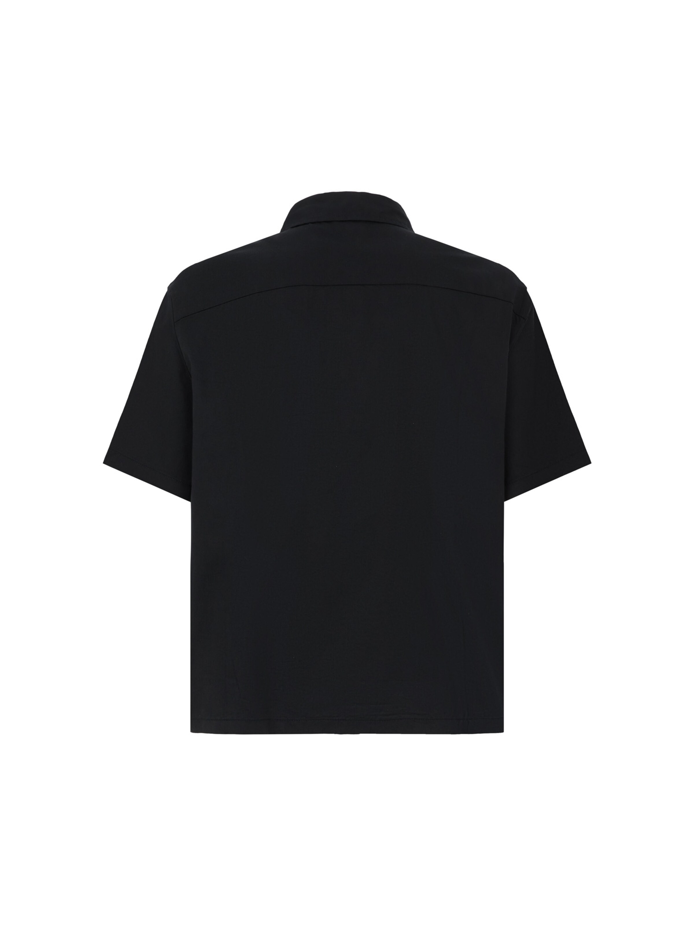 DICKIES Классический крой Рубашка 'Lynville' в Черный