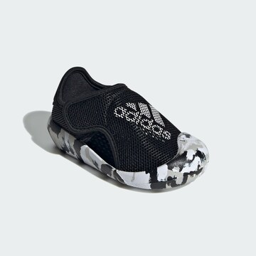 ADIDAS SPORTSWEAR Beach & Pool Shoes ' Altaventure' in Black