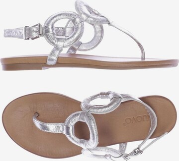 INUOVO Sandals & High-Heeled Sandals in 37 in Silver: front
