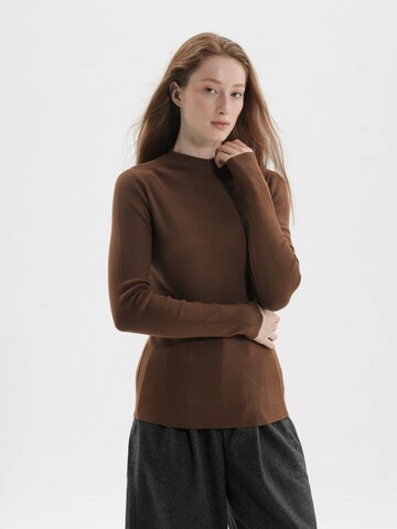 TorWeit Pullover‌‌‌‌‌‌‌‌ in Braun
