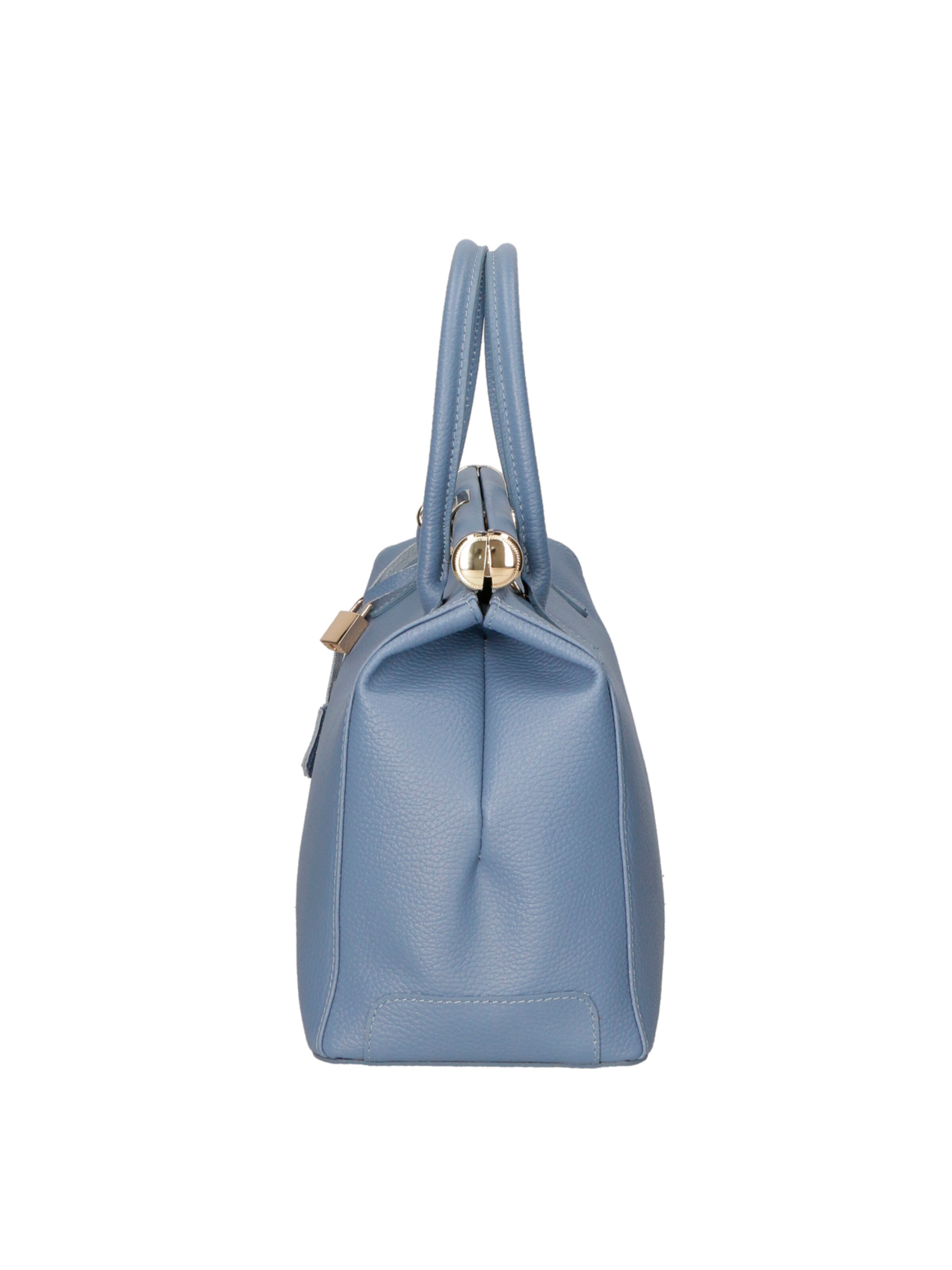 CHICCA BORSE Handbag in Blue