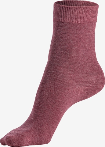 LASCANA Socks in Purple