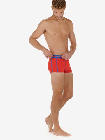 HOM Boxer shorts ' HOMRUN ' in Red