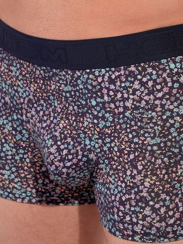 Boxers ' Vineyard ' HOM en bleu