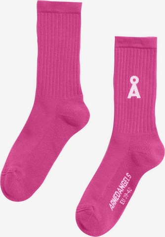 Chaussettes 'SAAMUS BOLD' ARMEDANGELS en rose : devant