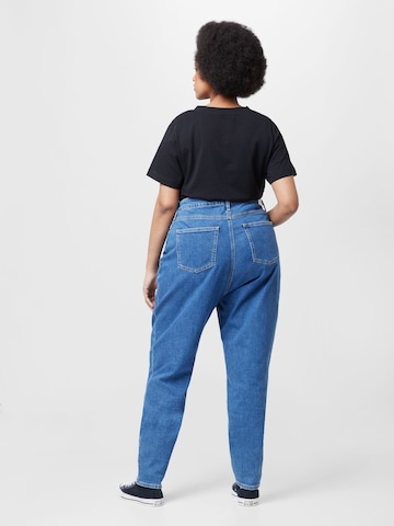 Calvin Klein Jeans Curve Regular Jeans in Blauw