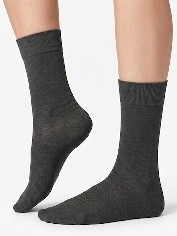 footstar Socks 'EVERYDAY!' in Grey
