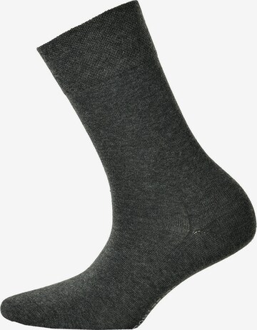 Hudson Socken in Grau