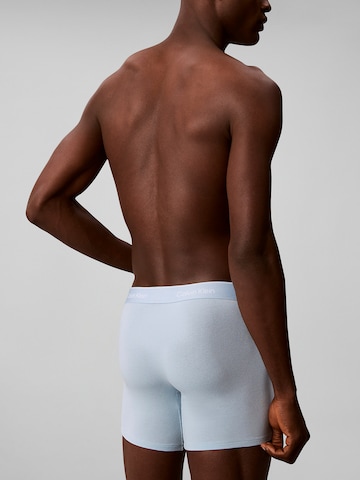 Calvin Klein Underwear Обычный Шорты Боксеры в Бежевый