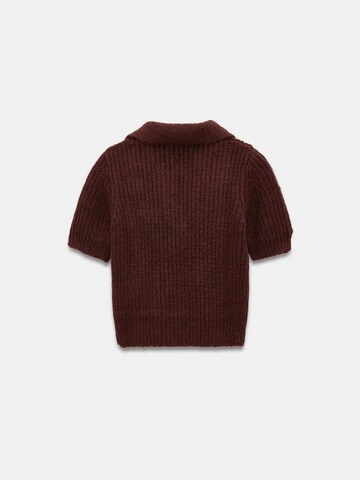Dilvin Pullover 'Pullover'‌‌‌‌ in Braun