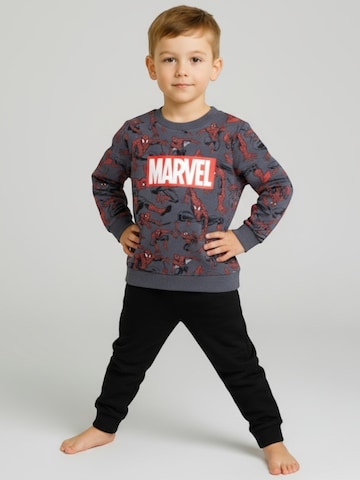 Spider-Man Sweatshirt in Grey