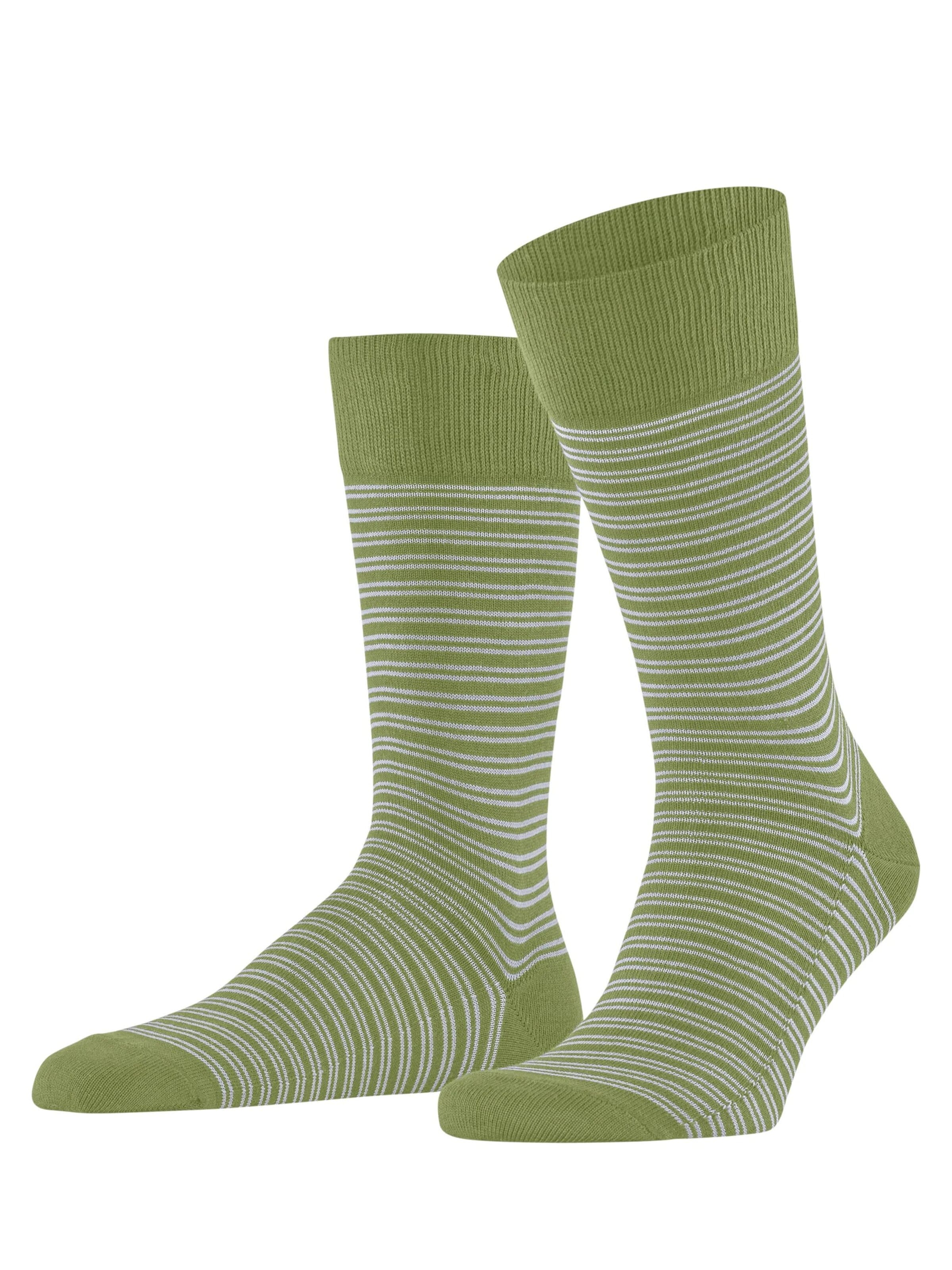 FALKE Socks 'Family Special Edition' in Green: front