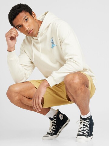 Santa Cruz Sweatshirt 'SCREAMING WAVE' in Grau