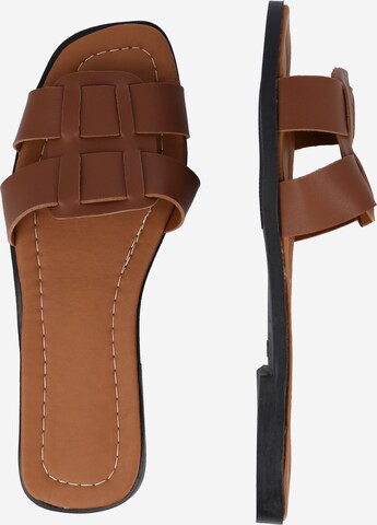 Trendyol Mules in Brown