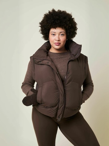 Cartel Copenhagen Winter jacket ' Alpine ' in Braun: Vorderseite