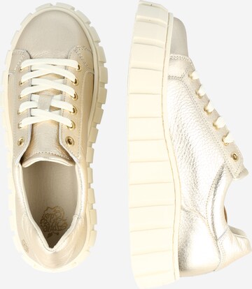 Apple of Eden Sneaker low 'Sansa' i beige